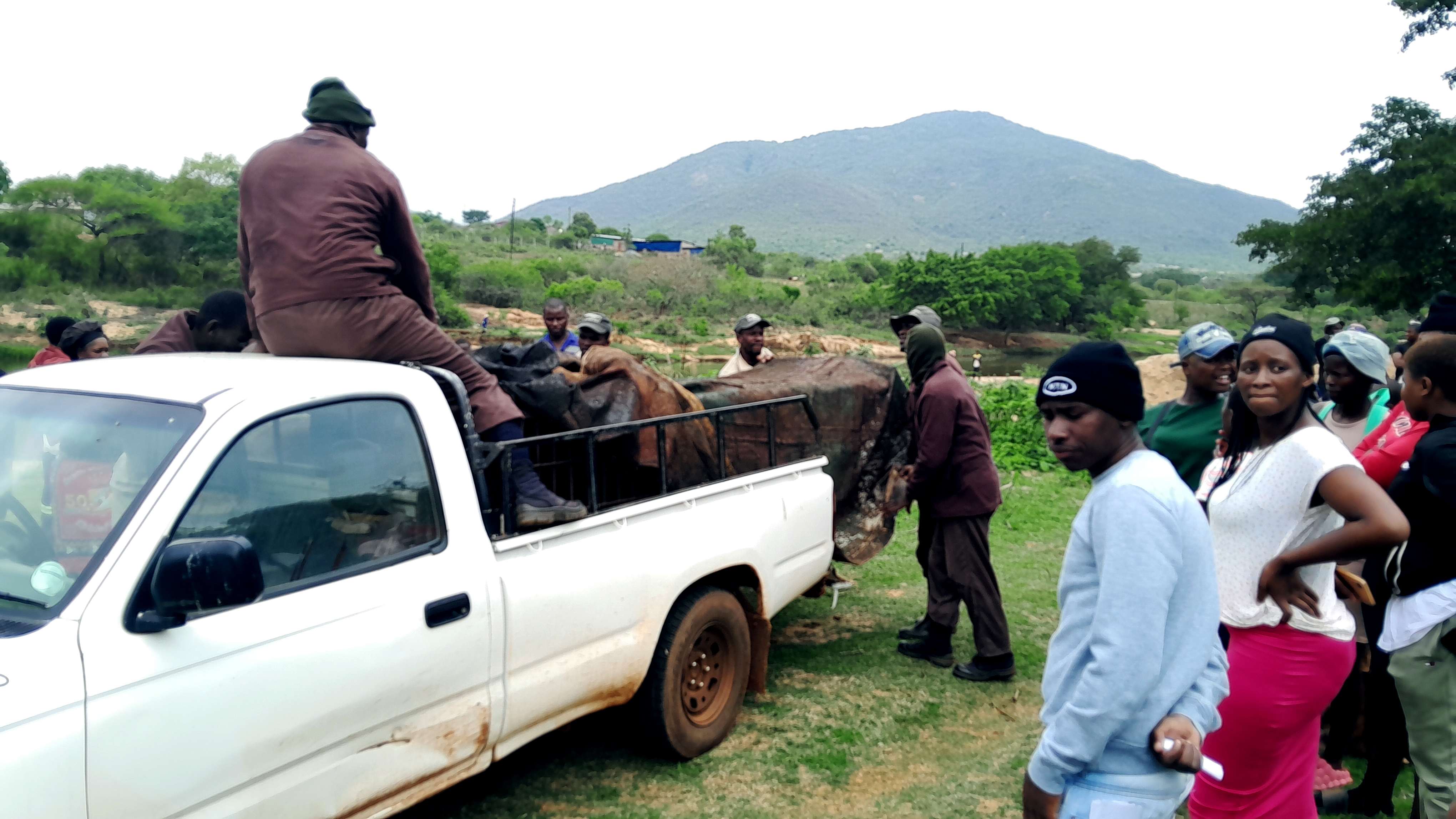 Residents invade river, capture troublesome crocodile
